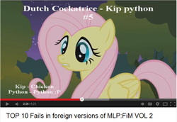 Size: 702x484 | Tagged: safe, edit, edited screencap, screencap, fluttershy, g4, stare master, female, netherlands, solo, youtube