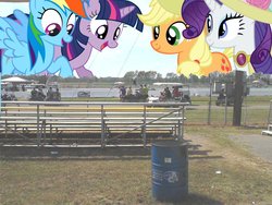 Size: 1032x774 | Tagged: safe, applejack, rainbow dash, rarity, twilight sparkle, human, pony, g4, cart, giant pony, highrise ponies, irl, irl human, photo, ponies in real life, racing