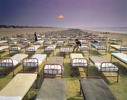 Size: 1746x1386 | Tagged: safe, edit, scootaloo, pegasus, pony, g4, a momentary lapse of reason, album cover, female, filly, flying, hipgnosis, irl, obvious, photo, pink floyd, ponies in real life