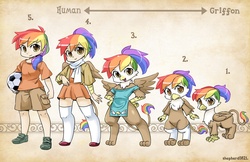 Size: 3000x1941 | Tagged: safe, artist:shepherd0821, oc, oc only, oc:rainbow feather, griffon, human, hybrid, anthro, semi-anthro, anthro chart, beak, clothes, cute, dress, humanized, interspecies offspring, mane, offspring, parent:gilda, parent:rainbow dash, parents:gildash