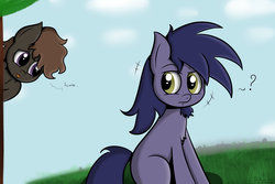 Size: 3000x2000 | Tagged: safe, artist:spenws, oc, oc only, oc:killryde, pony, duo, hiding, sempai, shy, watching