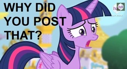 Size: 630x346 | Tagged: safe, twilight sparkle, alicorn, pony, g4, princess twilight sparkle (episode), season 4, female, mare, reaction image, solo, twilight sparkle (alicorn)