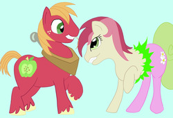 Size: 2286x1553 | Tagged: safe, artist:stillwaterspony, big macintosh, daisy, flower wishes, roseluck, changeling, earth pony, pony, g4, disguise, disguised changeling, female, male, mare, stallion, transformation