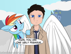 Size: 2000x1509 | Tagged: safe, artist:loceri, rainbow dash, angel, human, pegasus, pony, g4, canterlot, castiel, cloud, cloudy, crossover, dialogue, supernatural