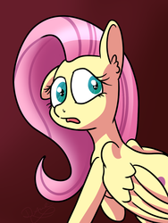 Size: 900x1200 | Tagged: safe, artist:annacurser, fluttershy, g4, female, solo