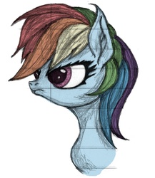 Size: 1105x1272 | Tagged: safe, artist:great-5, rainbow dash, g4, bust, doodle, female, lined paper, pencil drawing, solo, traditional art, wip