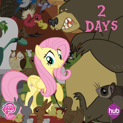 Size: 549x549 | Tagged: safe, fluttershy, harry, bear, g4, official, season 4, animal, countdown, the hub