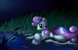 Size: 1700x1100 | Tagged: safe, artist:grennadder, sweetie belle, pony, unicorn, g4, big hooves, cattails, female, filly, night, pond, reeds, scenery, solo, starry night, starry sky, water