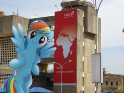 Size: 4608x3456 | Tagged: safe, artist:ojhat, rainbow dash, g4, africa, airport, irl, photo, ponies in real life, sign, vector