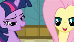 Size: 1366x768 | Tagged: safe, fluttershy, twilight sparkle, g4, reaction image