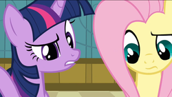 Size: 1366x768 | Tagged: safe, fluttershy, twilight sparkle, g4, reaction, reaction image