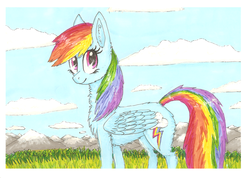 Size: 1024x728 | Tagged: safe, artist:sinihi, rainbow dash, g4, female, solo, traditional art