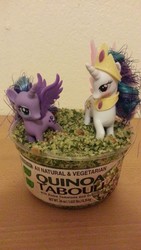 Size: 1836x3264 | Tagged: safe, princess celestia, princess luna, g4, brushable, edible, food, gluten free, irl, photo, plastic container, ponies in food, toy, vegetarian, wat