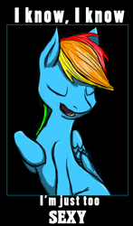 Size: 720x1224 | Tagged: safe, artist:lowfire3, edit, rainbow dash, g4, female, solo