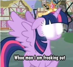 Size: 509x465 | Tagged: safe, twilight sparkle, alicorn, pony, g4, princess twilight sparkle (episode), big crown thingy, female, freakout, glowing eyes, image macro, mare, solo, twilight sparkle (alicorn)