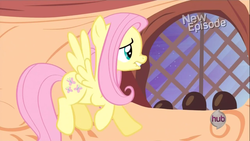 Size: 1366x768 | Tagged: safe, screencap, fluttershy, g4, season 4, female, lip bite, nose wrinkle, scrunchy face, solo, window