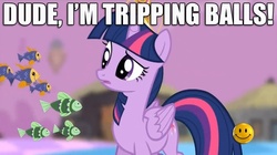 Size: 770x430 | Tagged: safe, twilight sparkle, alicorn, pony, g4, princess twilight sparkle (episode), season 4, caption, female, image macro, mare, solo, twilight sparkle (alicorn)