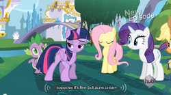 Size: 640x355 | Tagged: safe, screencap, fluttershy, rarity, spike, twilight sparkle, alicorn, pony, g4, princess twilight sparkle (episode), season 4, female, mare, meme, mlp-captions, twilight sparkle (alicorn), youtube caption