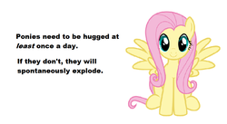 Size: 986x540 | Tagged: safe, artist:thatguy1945, fluttershy, pony, g4, female, headcanon, hug, sitting, solo, text, wat