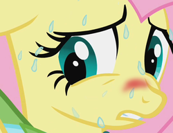 Size: 497x382 | Tagged: safe, screencap, fluttershy, pony, g4, the best night ever, blushing, female, if you know what i mean, out of context, solo