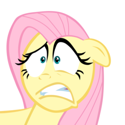 Size: 3001x3001 | Tagged: safe, artist:echoes111, fluttershy, g4, face, female, simple background, solo, transparent background, vector