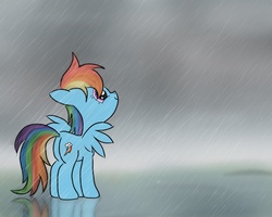 Size: 2500x2000 | Tagged: safe, artist:twojapacha, rainbow dash, g4, female, filly, filly rainbow dash, rain, reflection, solo, younger