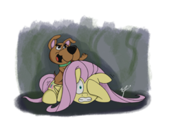 Size: 2048x1536 | Tagged: safe, artist:stuhp, fluttershy, dog, great dane, pegasus, pony, g4, crossover, duo, duo male and female, female, male, scooby-doo!, scrappy-doo