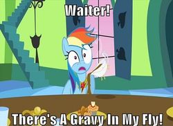 Size: 997x725 | Tagged: safe, edit, edited screencap, screencap, rainbow dash, pony, g4, keep calm and flutter on, caption, female, gravy, gravy boat, image macro, mare, solo, wide eyes, wrong aspect ratio