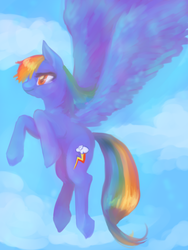 Size: 600x800 | Tagged: safe, artist:spiffyskillet, rainbow dash, g4, female, solo