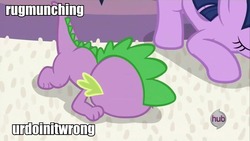 Size: 960x540 | Tagged: safe, edit, edited screencap, screencap, spike, twilight sparkle, alicorn, pony, g4, hub logo, image macro, rug, twilight sparkle (alicorn)