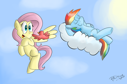 Size: 3000x2000 | Tagged: safe, artist:benja, fluttershy, rainbow dash, bird, ask ask-the-ponies, g4, cloud, cloudy