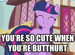 Size: 852x630 | Tagged: safe, twilight sparkle, g4, butthurt, caption, female, image macro, reaction image, smiling, solo