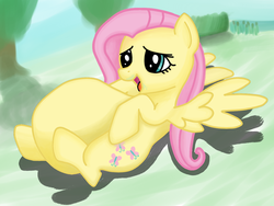 Size: 1280x960 | Tagged: safe, fluttershy, pegasus, pony, g4, belly, big belly, digestion, female, fetish, flutterpred, implied death, lying down, mare, on back, solo, spread wings, stuffed belly, tongue out, tree, vore, wings