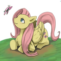 Size: 700x700 | Tagged: safe, artist:kamukamu, fluttershy, butterfly, g4, female, pixiv, solo