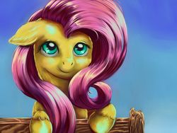 Size: 1584x1188 | Tagged: safe, artist:viwrastupr, fluttershy, g4, female, solo