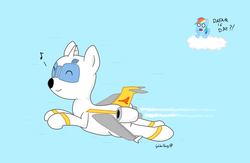 Size: 2824x1845 | Tagged: safe, artist:goldenpansy, rainbow dash, oc, oc:mcponnel donut, original species, plane pony, pony, g4, aircraft, cloud, dc-9, flying, jet, plane, sky