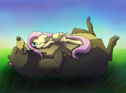 Size: 2781x2071 | Tagged: safe, artist:dawnmistpony, fluttershy, harry, bear, g4, cute, shyabetes, sleeping