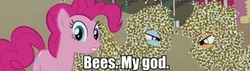 Size: 513x145 | Tagged: safe, applejack, pinkie pie, rainbow dash, bee, castle mane-ia, g4, batman, bees my god, caption, image macro