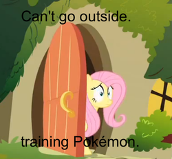 Size: 558x515 | Tagged: safe, edit, fluttershy, g4, female, image macro, pokémon, solo, text