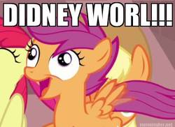 Size: 400x291 | Tagged: safe, apple bloom, applejack, scootaloo, g4, derp, didney worl, image macro