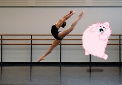 Size: 550x386 | Tagged: safe, artist:mixermike622, edit, oc, oc:fluffle puff, human, g4, backbend, ballet, gasp, irl, irl human, leotard, photo, ponies in real life