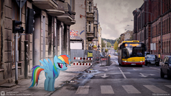 Size: 1024x575 | Tagged: safe, rainbow dash, pegasus, pony, g4, bus, female, irl, mare, photo, poland, ponies in real life, solaris, solo, watermark, łódź