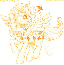 Size: 800x814 | Tagged: safe, artist:huskie, artist:mayra boyle, dancing butterflies, butterfly, pegasus, pony, g1, female, happy, monochrome, open mouth, raised hoof, sketch, smiling, solo, spread wings, twice as fancy ponies