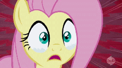 Size: 957x537 | Tagged: safe, screencap, fluttershy, castle mane-ia, g4, season 4, animated, big no, crying, cute, female, hub logo, hubble, oh no, open mouth, screaming, shyabetes, solo, speed lines, uvula
