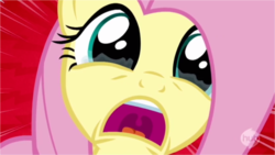 Size: 750x422 | Tagged: safe, screencap, fluttershy, pegasus, pony, castle mane-ia, g4, crying, cute, female, fluttercry, hub logo, hubble, mare, open mouth, screaming, shocked, shyabetes, solo, speed lines