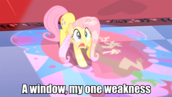 Size: 960x540 | Tagged: safe, edit, edited screencap, screencap, fluttershy, g4, the return of harmony, caption, female, image macro, solo