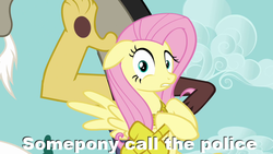 Size: 640x360 | Tagged: safe, discord, fluttershy, g4, caption, image macro