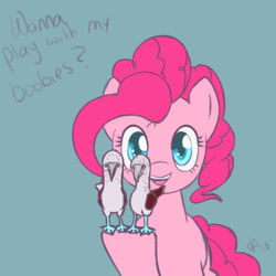 Size: 2000x2000 | Tagged: safe, artist:luckystreak, pinkie pie, bird, booby, g4, animal, dialogue, female, hoof hold, looking at you, open mouth, pun, smiling, solo, talking to viewer, visual pun