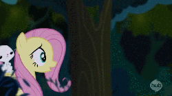 Size: 863x483 | Tagged: safe, screencap, angel bunny, fluttershy, castle mane-ia, g4, animated, everfree forest, forest, hub logo, hubble, the hub, walking