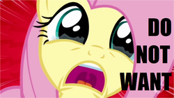 Size: 750x422 | Tagged: safe, fluttershy, castle mane-ia, g4, crying, do not want, female, fluttercry, image macro, reaction image, solo